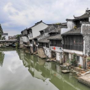 除虫大师